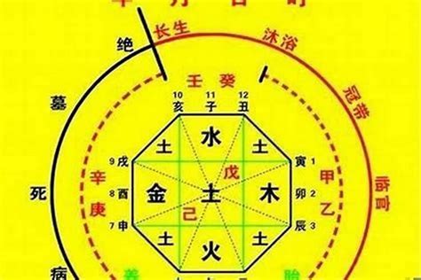 八字最輕|八字輕是什麼？解開命理中的重量之謎｜魔幻水